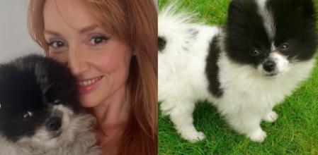 Cristina Castaño despide a su perro