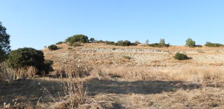 Reto visual: ¿Eres capaz de ver al conejo?