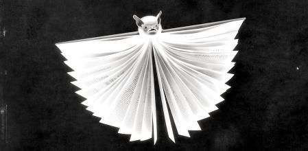 Ilustración de Riki Blanco