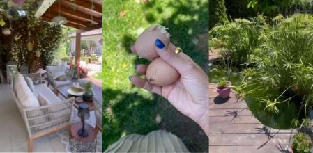 El jardín de la casa de Paz Padilla cuenta con una zona para las gallinas y un pequeño estanque de peces.