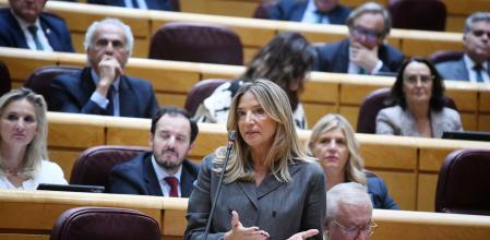 La portavoz del PP en el Senado, Alicia García.