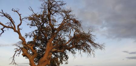 Reto visual: ¿Eres capaz de encontrar la luna?