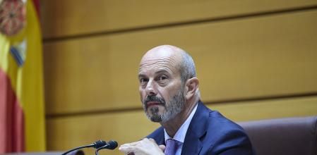 El presidente del Senado, Pedro Rollán.