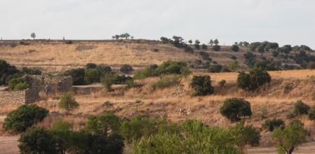 Reto visual: ¿Eres capaz de ver al aguilucho en esta imagen?