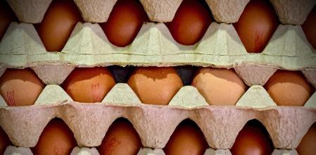 Los huevos son un elemento fundamental de una dieta saludable y equilibrada