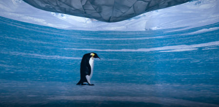 Club Vanguardia sortea 25 invitaciones dobles para visitar la exposición inmersiva Antarctica Experience en Las Arenas.