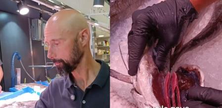 Un pescadero explica cómo diferenciar el pescado fresco.