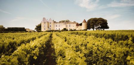 Viñedo histórico por el que pasaron grandes personajes para disfrutar de su vino