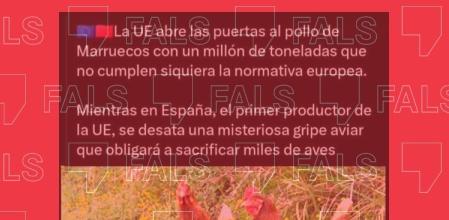 Tweet falso sobre la gripe aviar&nbsp;