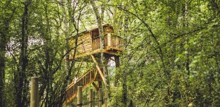 Cabañas en los árboles