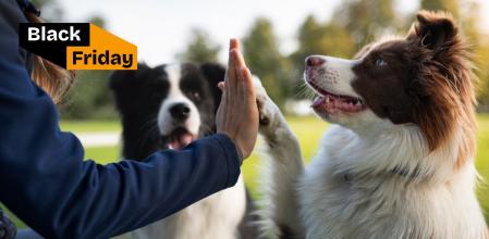 Productos para perros Black Friday 2025