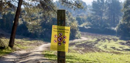 Zons infectada por la peste