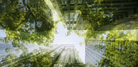 La descarbonización se consolida como un eje estratégico para el tejido empresarial