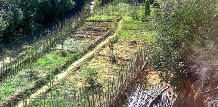 Huerto en Arenys de Munt .