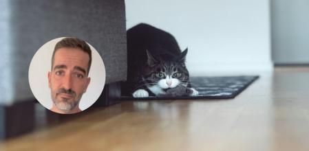 El veterinario explica la importancia de ofrecerle a los gatos juguetes adecuados para ellos.