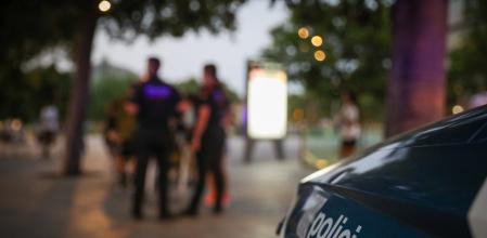 La operación Shiva se ha saldado con diez detenidos