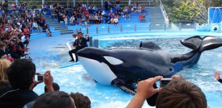 Kshamenk en Mundo Marino