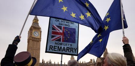 Partidarios del regreso del Reino Unido a la Unión Europea se manifiestan periódicamente delante del Parlamento de Westminster