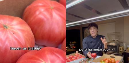 Jordi Cruz explica las variedades tardías de tomate.