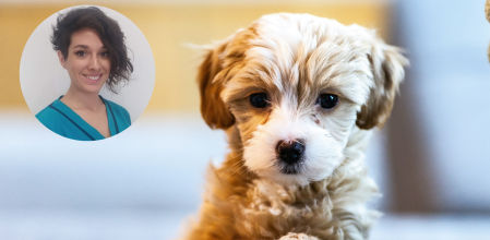 Sandra Portals, veterinaria etóloga, explica las