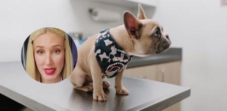 La veterinaria Diana Valdecantos menciona las patologías más comunes en perros.