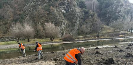 Operarios retirando elodea.
