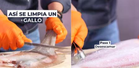 Un pescadero explica cómo limpiar el gallo.