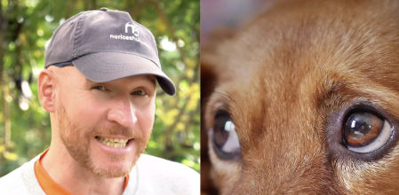 Alan Peiró, adiestrador canino, detalla cómo ayudar a tu perro a sobrellevar el miedo a los fuegos artificiales: “Son aterradores para muchos perros”