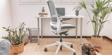 Descubre las mejores sillas ergonómicas para tu escritorio o despacho