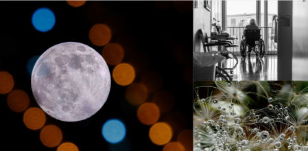 La luna navideña, la arquitectura de la soledad y la belleza del rocío, mejores fotos de diciembre.