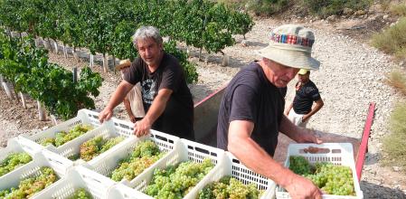 L’oli d’oliva, el vi i la fruita de pinyol són els productes agrícoles més exportats