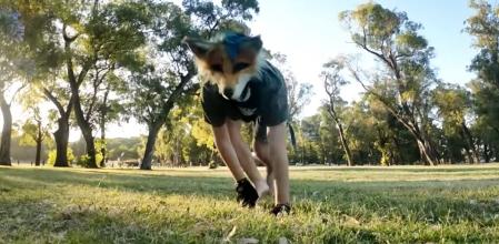 Para él, no se trata de una fantasía