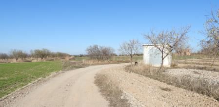 Reto visual: ¿Eres capaz de ver al colirrojo tizón?