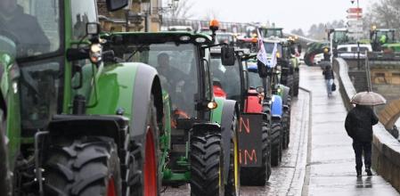 Protestas de agricultores y ganaderos
