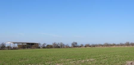 Reto visual: ¿Puedes ver el aguilucho en menos de 30 segundos?