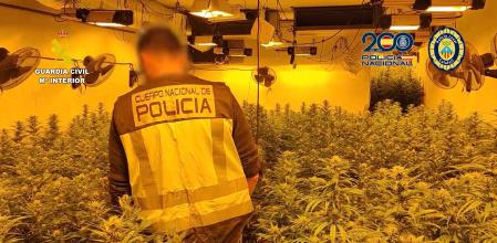 Registro de una vivienda de Calafell en cuyo interior se cultivaba Cannabís