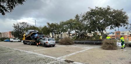 La grúa retiró una docena de vehículos en los que pernoctaban indigentes .