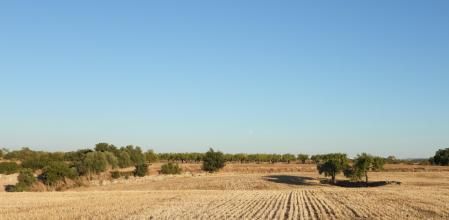Reto visual: ¿Puedes ver la luna en menos de 30 segundos?