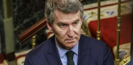 Pleno extraordinario celebrado en el Congreso de los Diputados, este martes, en Madrid. Alberto Nuñez Feijoo