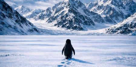 El vídeo de un pingüino de Adelia caminando hacia las montañas de la Antártida ha acaparado la atención en redes sociales