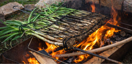 Calçots asándose a la brasa sobre una parrilla metálica en un fuego al aire libre, con llamas visibles y un entorno rústico de piedras.