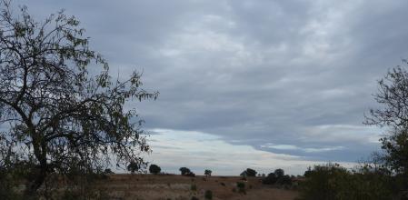 Reto visual: ¿Eres capaz de encontrar al milano real?