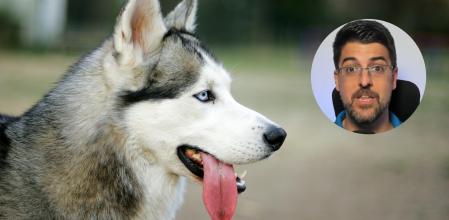 Juanjo, veterinario, habla sobre las principales consecuencias del sarro en los perros