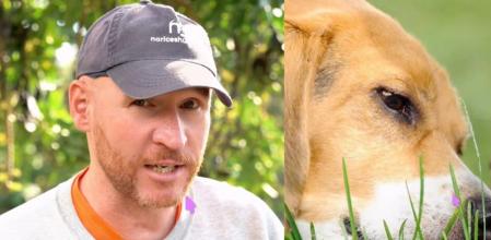 Alan Peiró, adiestrador canino: “Muchos perros comen hierba durante los paseos y sus humanos se alarman; pero suele ser un comportamiento natural”