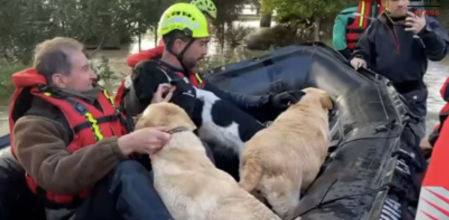 La Guardia Civil rescata a los animales supervivientes tras el paso de la borrasca Leonardo que quedaron atrapados en la zona de Jerez de la Frontera