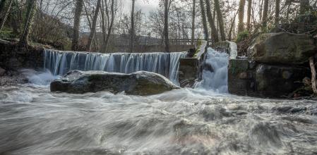 Las lluvias de este invierno y el deshielo en el macizo del Montseny han embellecido y alimentado el caudal de la riera Major, cuyas aguas bajan bien cargadas, como