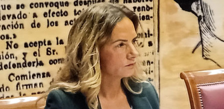 Susana Sumelzo, esta tarde, en el Senado