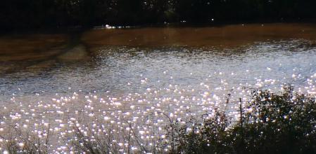 Isaura Marcos ha captado esta imagen del fenómeno del brillo solar en una charca llenaen Vilobí d’Onyar, en la comarca de la Selva. Los rayos del sol inciden sobre el