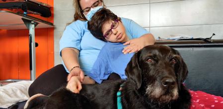 Imagen proporcionada por Fundación Sentido Animal de un perro de intervención asistida