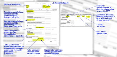 Los conceptos de una nómina en España